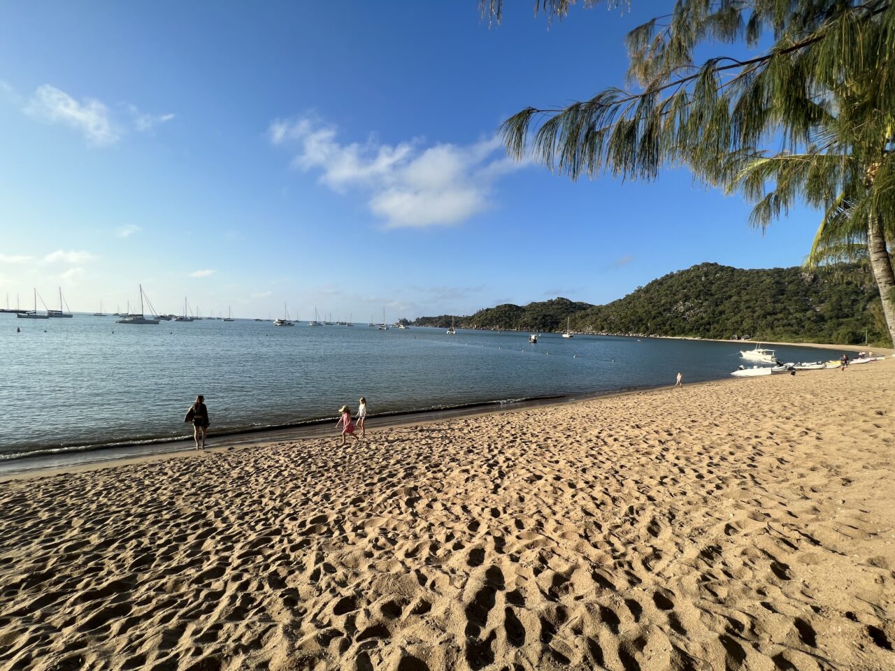 abell point yacht club